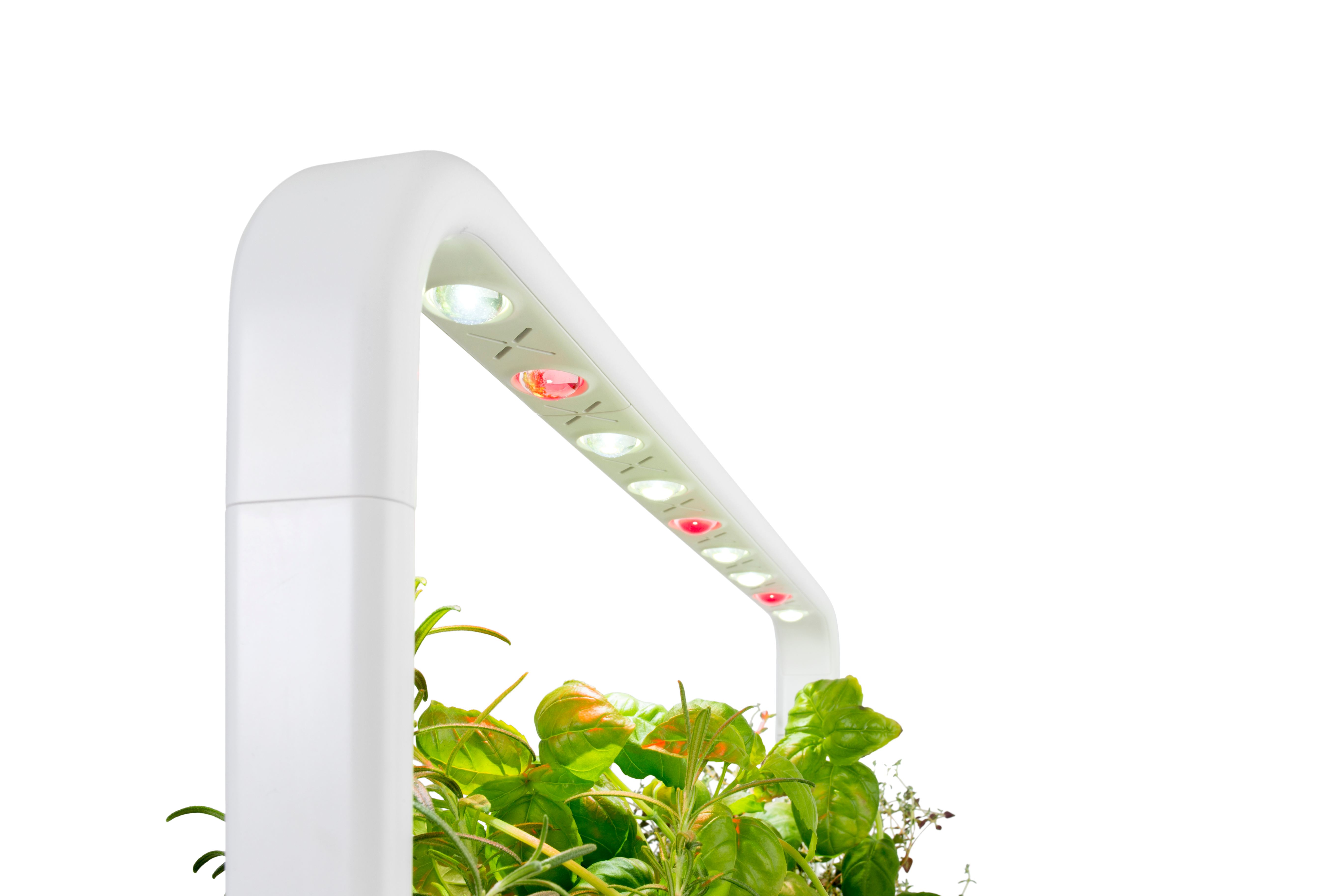 SG9 lights white bg